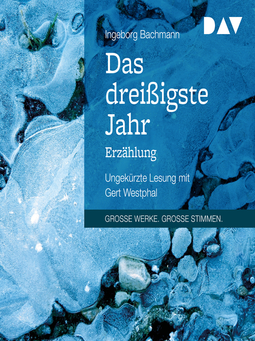 Title details for Das dreißigste Jahr by Ingeborg Bachmann - Wait list